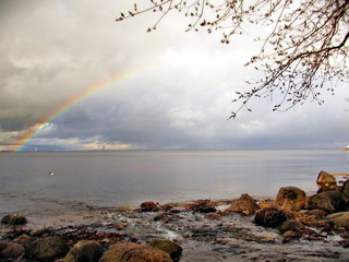 Rainbow over the bay