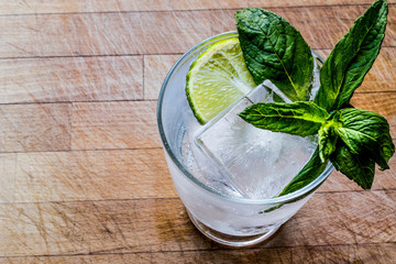 Vodka or Gin Tonic Cocktail with lime, mint leaves and ice.