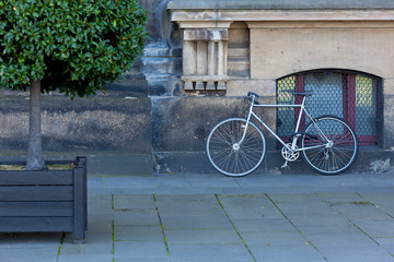 Miejski rower na chodniku oparty o ścianę budynku przy drzewie. - obrazy, fototapety, plakaty