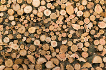 The structure of the tree in a section. Raw materials for heating the housing.