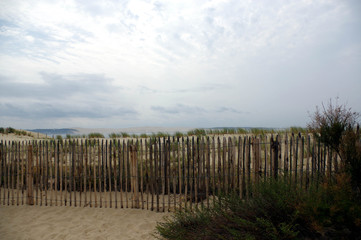Fototapeta na wymiar plage du cap ferret, vue sur la dune du pilat