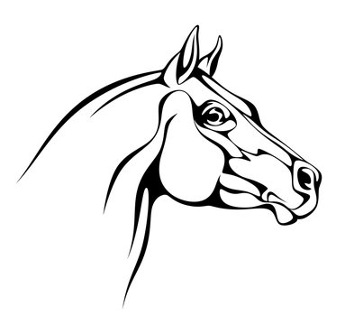 Horse head drawn by a black contour on a white background