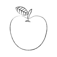 apple fresh fruit icon vector illustration design