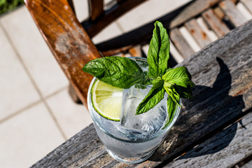 Vodka or Gin Tonic Cocktail with lime, mint leaves and ice at the garden (natural light)
