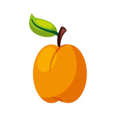 apple fresh fruit icon vector illustration design