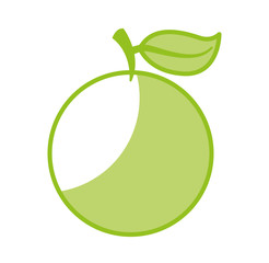 orange fresh fruit icon vector illustration design