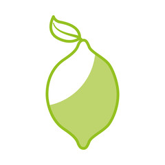 lemon fresh fruit icon vector illustration design