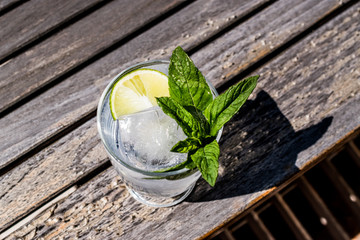 Vodka or Gin Tonic Cocktail with lime, mint leaves and ice at the garden (natural light)