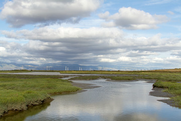 A Slough Through the Marshes, Palo Alto Baylands, San Francisco Bay
