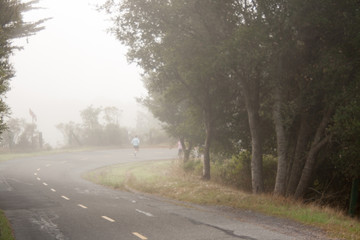 Fototapeta premium Lone Jogger on Winding Trail on a Foggy Morning