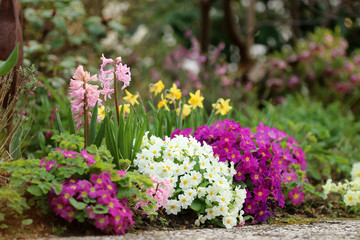 Frühlingsblumenbeet