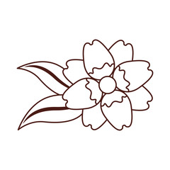 beautiful flower decorative icon vector illustration design