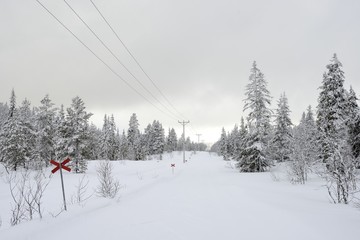 Route marker through arctic winter landscape