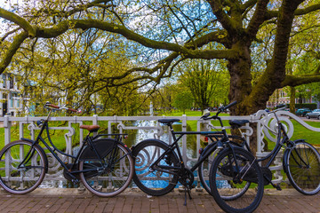 Fahrräder in Rotterdam