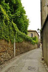 Fototapeta na wymiar Ruelle Cité de Carcassonne, Carcassonne, France 