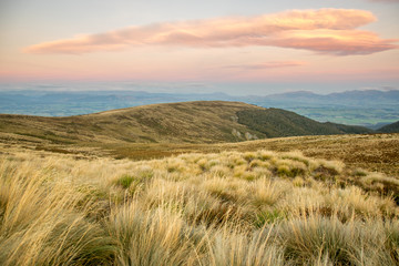 Sunset over tussock meadow, Kepler track, New Zealand