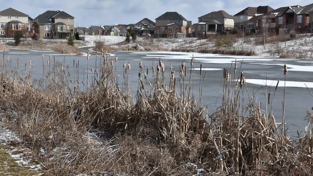 A small lake in the microdistrict began to become covered with ice and the birds left it