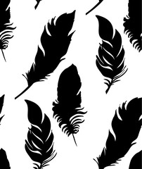 Vector, background bird feather