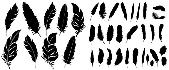 Vector, silhouette of bird feather, collection © zolotons