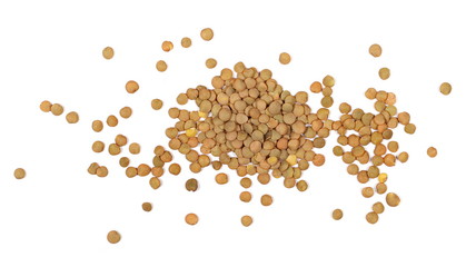 lentils isolated on white background, with top view