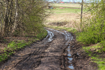 Obraz premium Road in the village