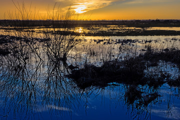 Sonnenuntergang in der Moorlandschaft Teufelsmoor nahe dem Künstlerort Worpswede, Deutschland