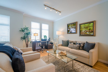 Interior design of a luxury living room