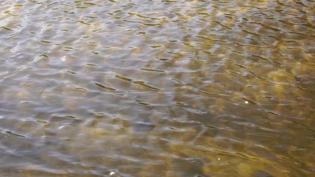 The current shallow river. Glare on the water. Background slow motion