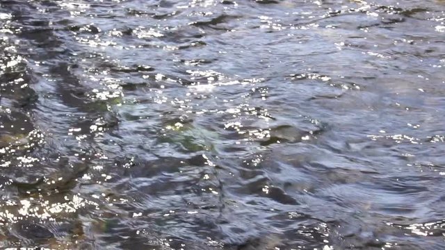 The current shallow river. Glare on the water. Background slow motion