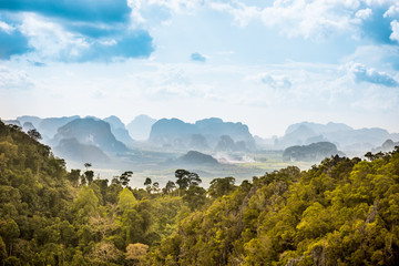 rain forest in Thailand