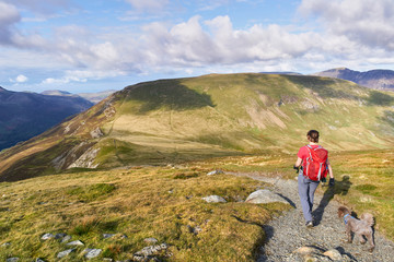 Naklejka premium A hiker descending from Hindscarth towards the summit of Robinson in the Lake District, England, UK.
