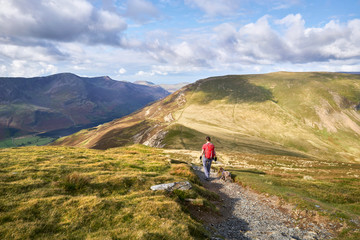 Fototapeta na wymiar A hiker descending from Hindscarth towards the summit of Robinson in the Lake District, England, UK.