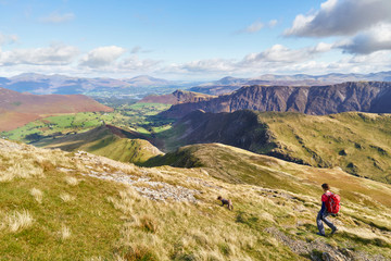 Obraz premium A hiker walking down towards High Snab Bank from the summit of Robinson in the Lake District, England, UK.