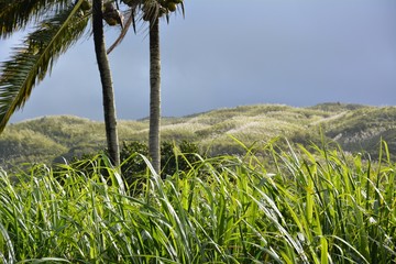 Obraz premium Mauritius