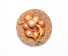 Fresh organic onions