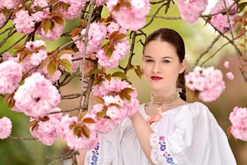 Obraz premium Slovakian folklore