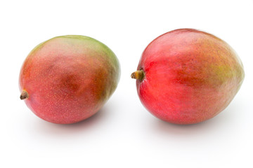 Mango fruit isolated on white background .