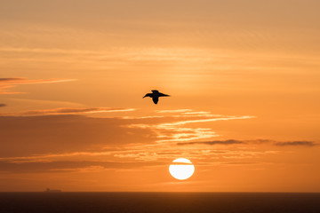 sunset at the island Helgoland Germany