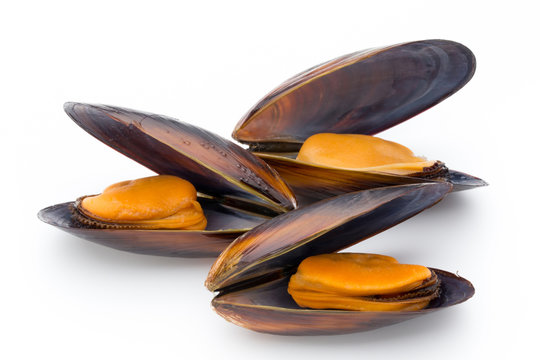 Mussels isolated on white background. Sea food.