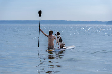 Man teaching harlequin great dane dog how to use a standup paddle board on the sea