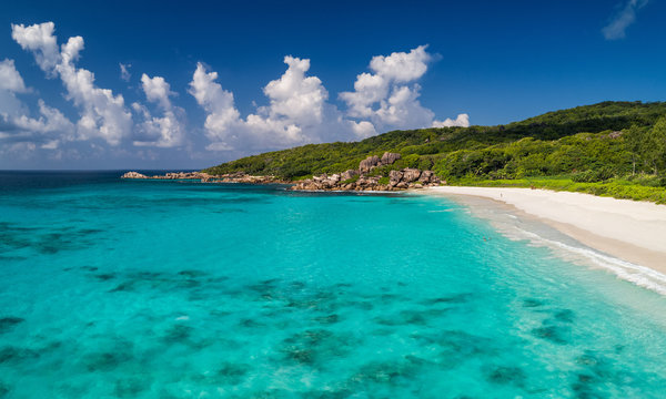 Beautiful nature at the Seychelles