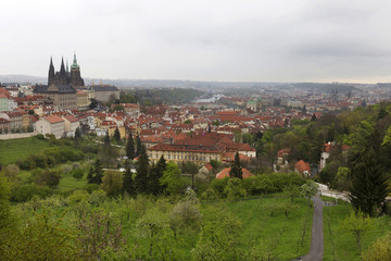 Spring Prague City with gothic Castle and the green Nature and flowering Trees, Czech Republic