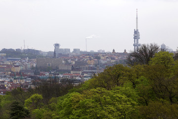 Fototapeta premium View on the spring Prague City with the green Nature and flowering Trees, Czech Republic