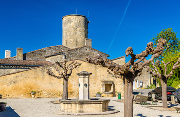 Fototapeta na wymiar Chateau de Rauzan, a medieval castle in Gironde, France