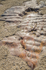 Ancient marble floor parts, Athens, Greece.