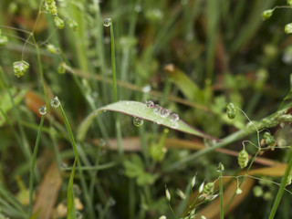 雨上がりの世界
