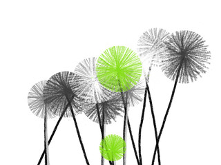 Colorful hand drawn abstract white, green and grey dandelions on white background,  isolated illustration painted by oil color and watercolor on canvas, high quality