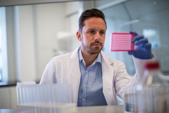 Man working at laboratory