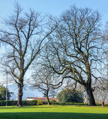 The garden near of Paco dos Duques de Braganza - Guimaraes, Portugal