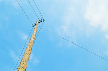 Wooden pole with wires